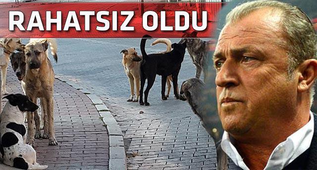 Hiç tarihi geçmiş bir şeyi yanlışlıkla tükettiniz mi?
