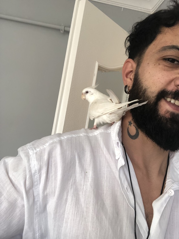 İlk defa bir hayvanla bağlantı kurmıyorum nasıl alışıcaz birbirimize?