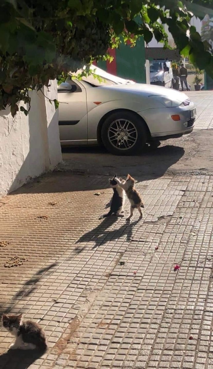 Kadınlar neye aşık olur?