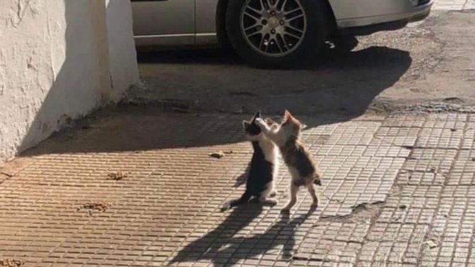 Kadınlar neye aşık olur?