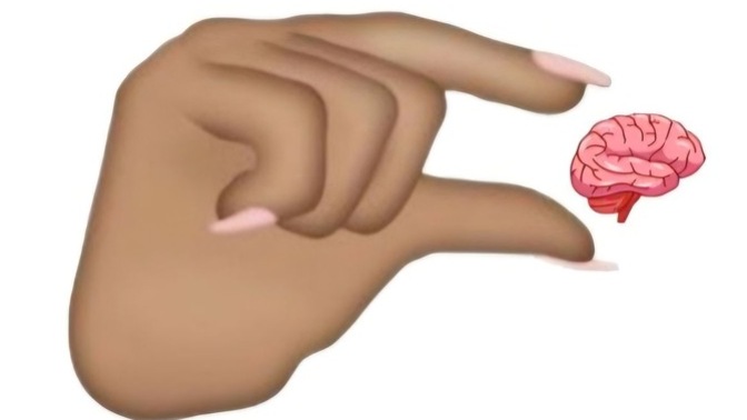 Beyni küçük olan insanı nasıl anlarsınız?