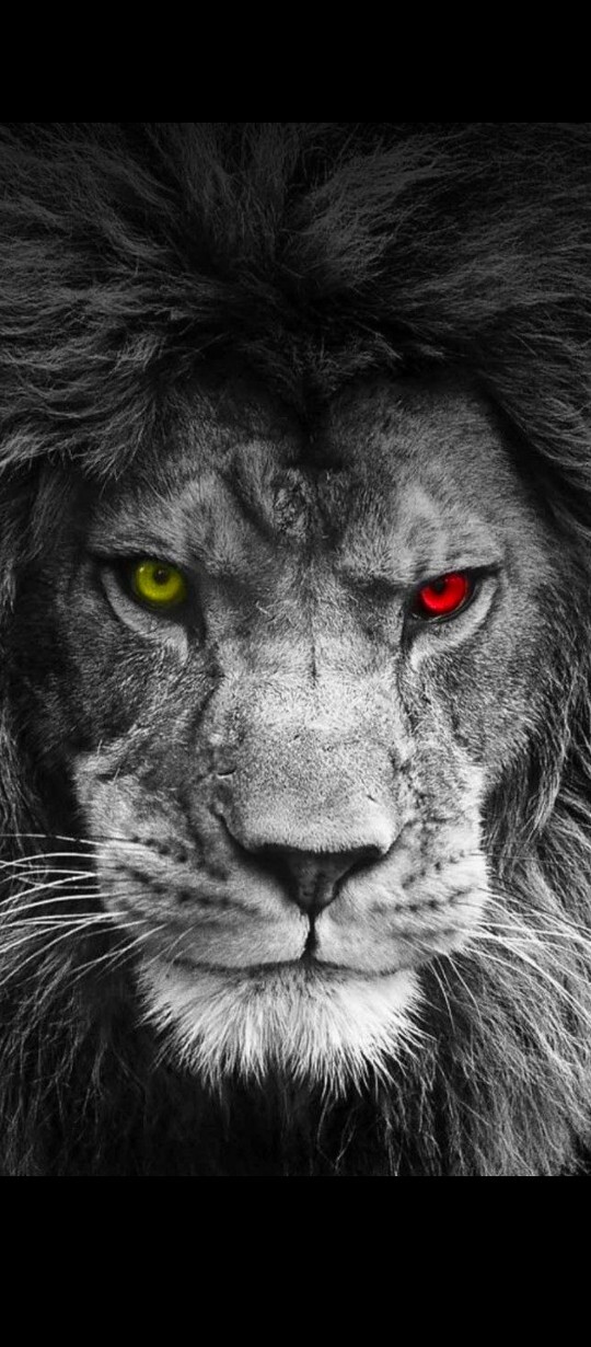 Yengeç 🦀 burcu olmaktan çok sıkıldım Aslan 🦁 burcuna geçiş yapamaz mıyım?