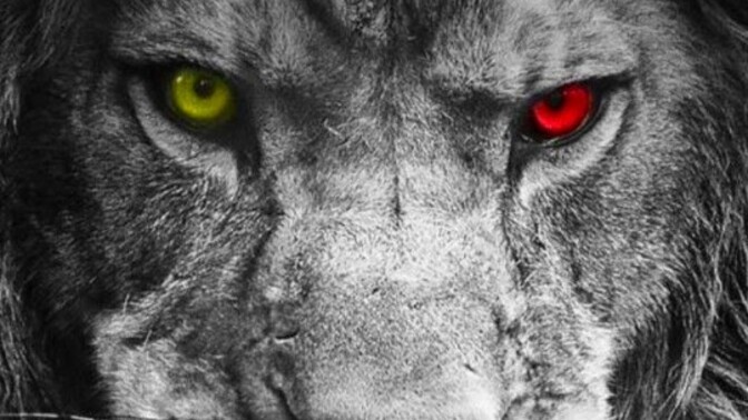 Yengeç 🦀 burcu olmaktan çok sıkıldım Aslan 🦁 burcuna geçiş yapamaz mıyım?