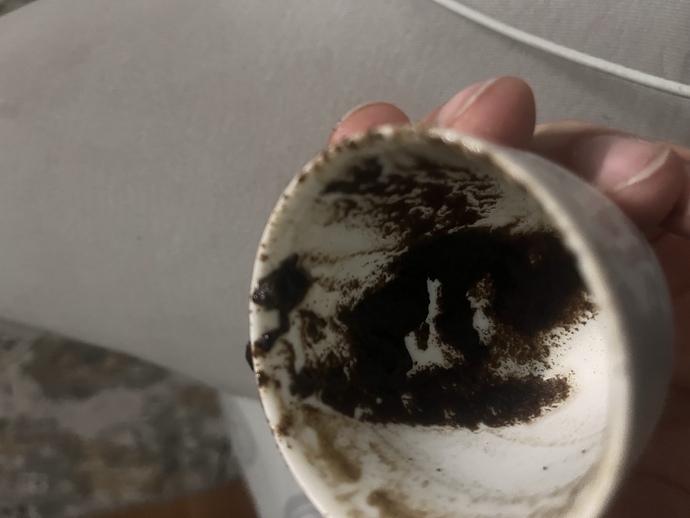 Falıma bakar mısınız?