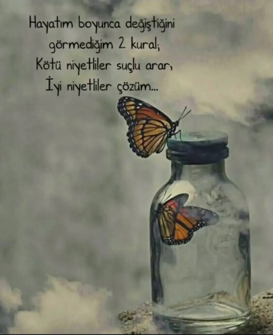 Siz suçlu mu ararsınız, çözüm mü?