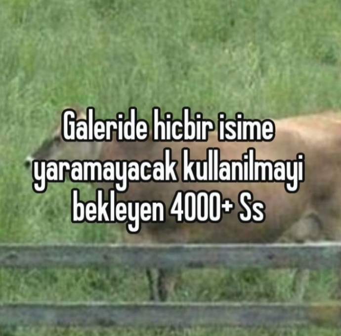 aradığımı da bulamıyorum zaten ne zaman buldum ki