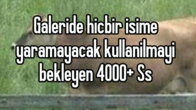 Sizin de her şeyin ekran görüntüsünü alma huyunuz var mı?