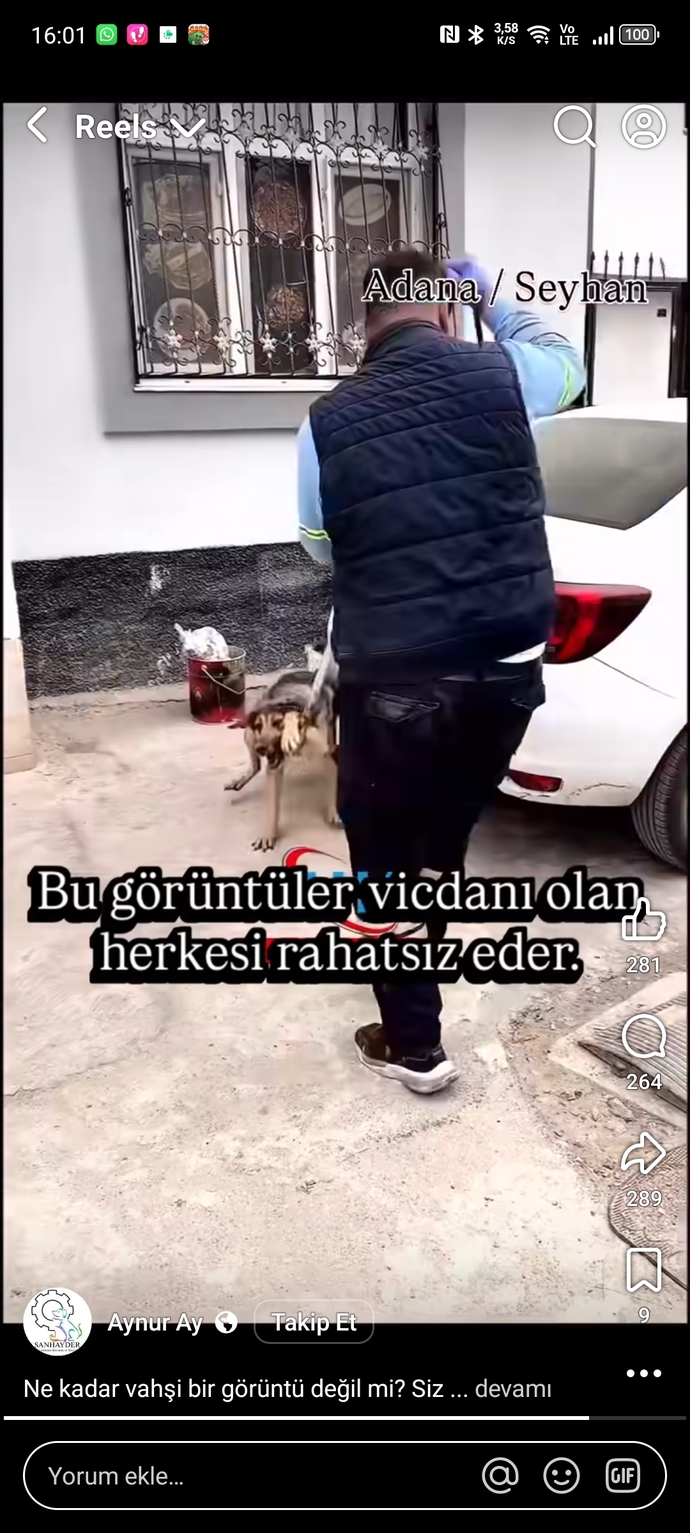 Hayvan zulmüne susanlar neden adaletten bahsediyor?