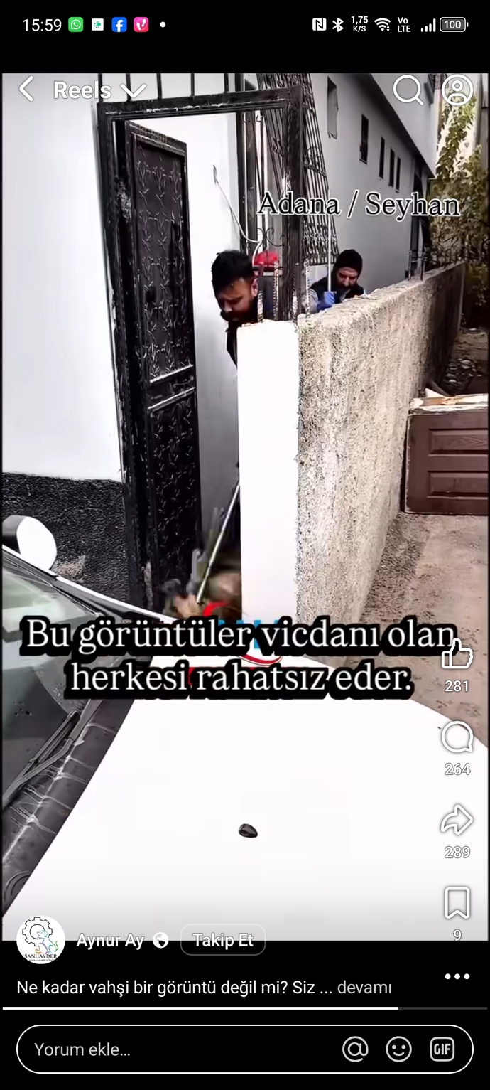Hayvan zulmüne susanlar neden adaletten bahsediyor?