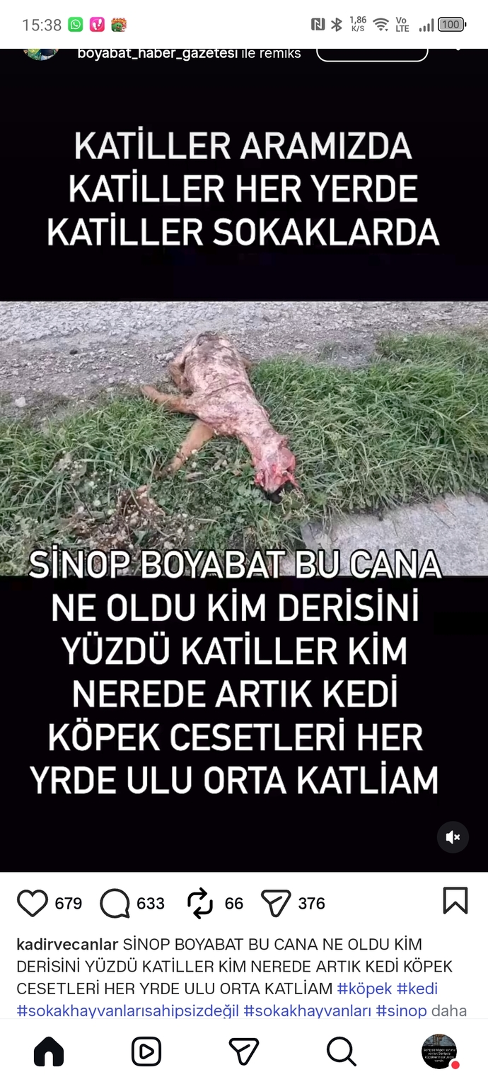 Hayvan zulmüne susanlar neden adaletten bahsediyor?