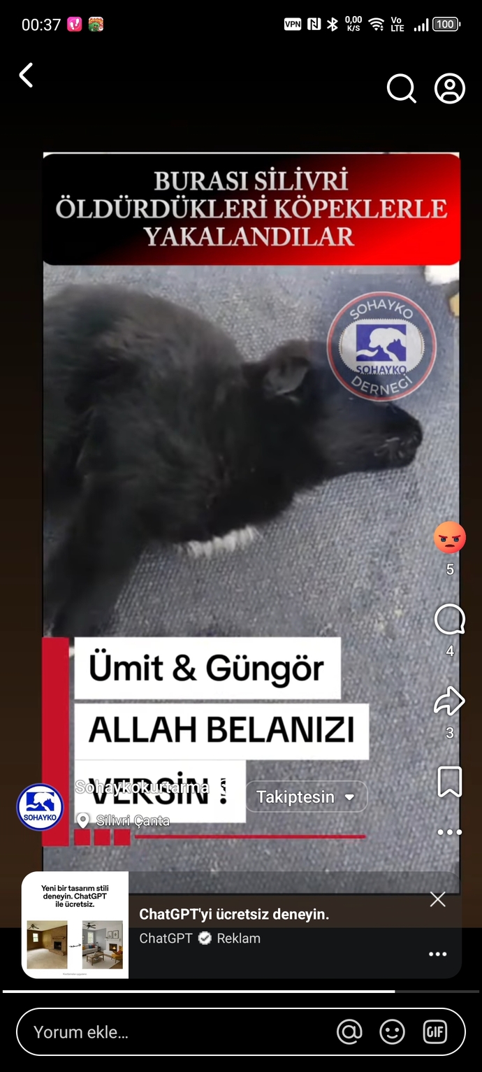 Hayvan zulmüne susanlar neden adaletten bahsediyor?