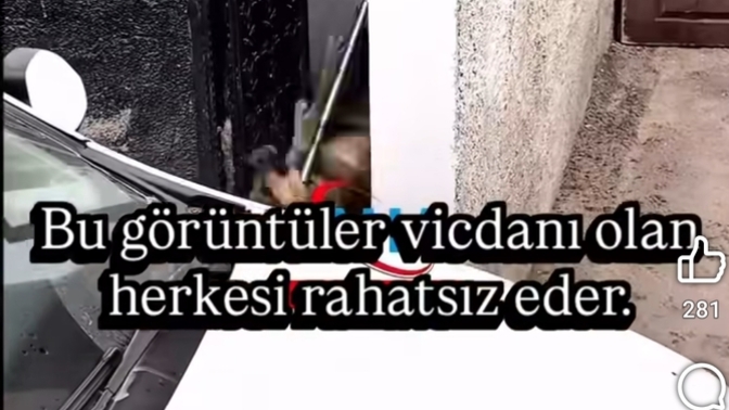 Hayvan zulmüne susanlar neden adaletten bahsediyor?