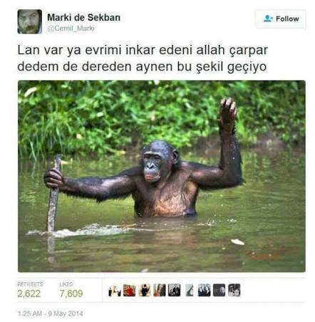 Rüyanızda yüksekten düştüğünüzü görüyor musunuz?