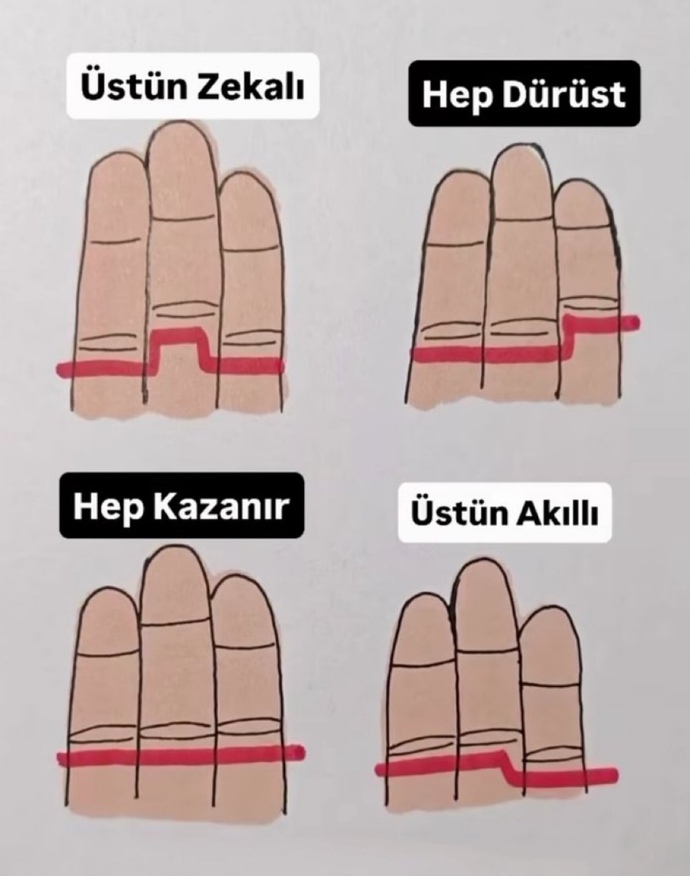 Senin elin hangisi?