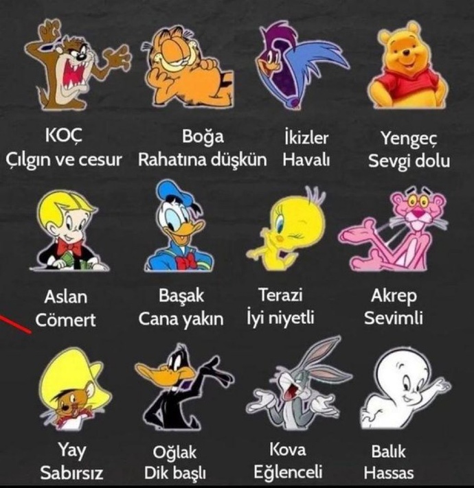 Burcuna göre hangi çizgi film karakterisin?