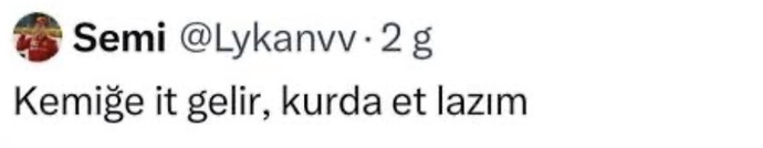 Erkekler etli butlu kadın mı daha çekici buluyor yoksa manken vücut mu?