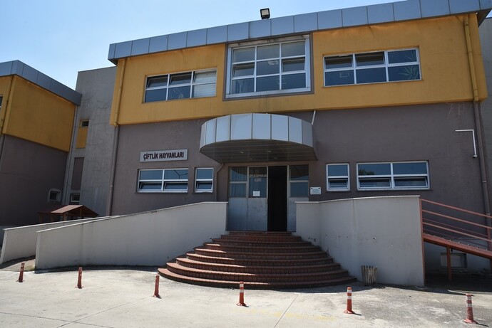 Samsun OMÜ Hayvan Hastanesine hiç evcil hayvan götürdünüz mü, ilgileniyorlar mı?