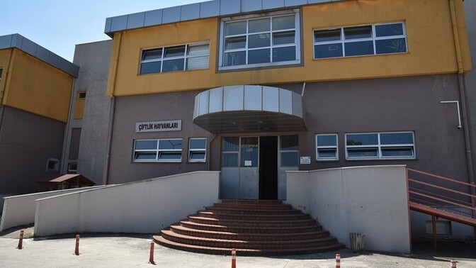 Samsun OMÜ Hayvan Hastanesi'ne hiç evcil hayvan götürdünüz mü, ilgileniyorlar mı?