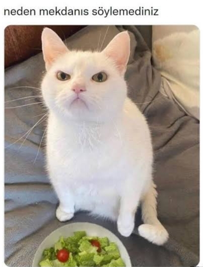 Dışarıda yediğiniz böyle bir menüye 300 TL vermeye değer mi sizce 😍?