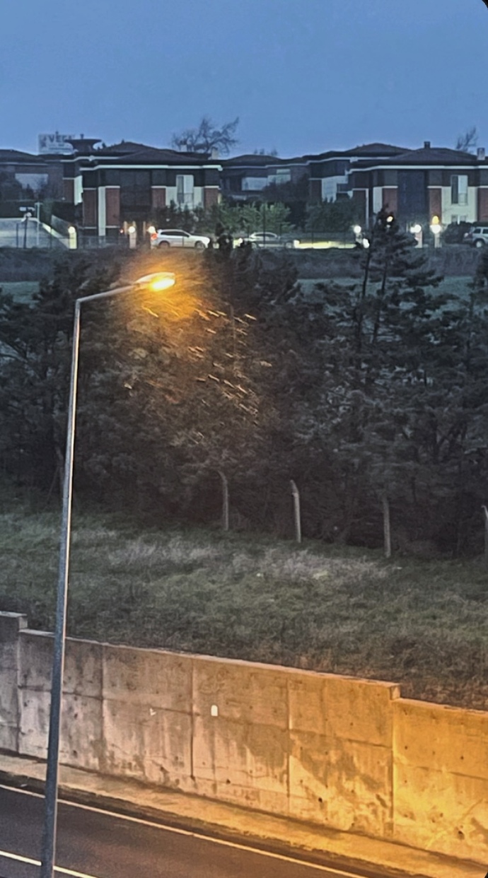 Yolunu gözlediğiniz haber, kişi, olay var mı?