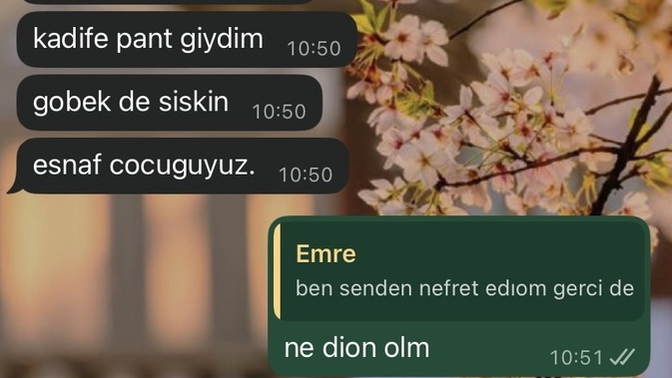 Ben mi çok alınganım o mu mağara adamı bilmiyorum?
