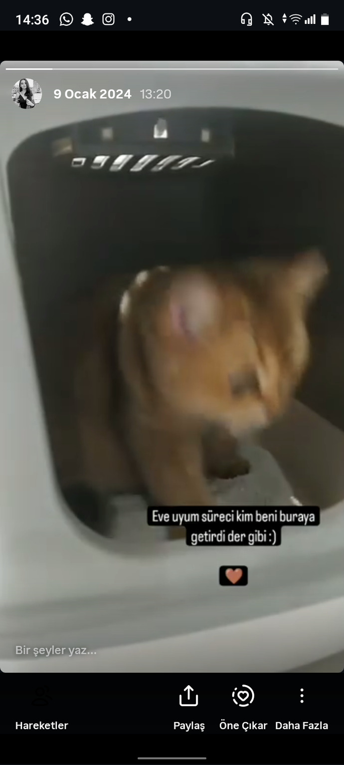 Sosyal medya anılarında zaman yolculuğu yapabilsen hangi günü tekrar yaşamak isterdin?