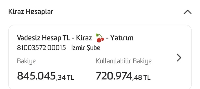 Tüm parayı faize atmak yerine şu yöntemi uyguladım mantıklımı?