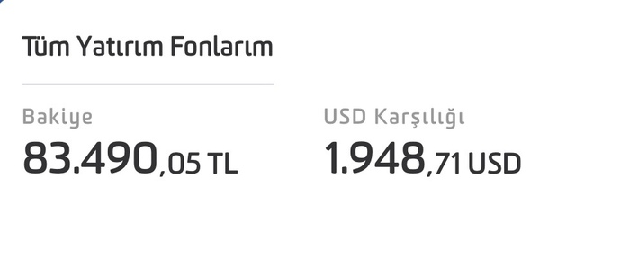 Tüm parayı faize atmak yerine şu yöntemi uyguladım mantıklımı?