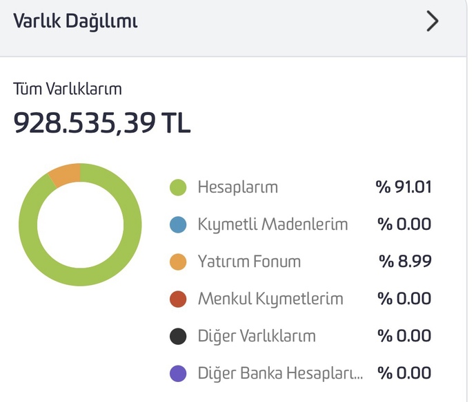 Tüm parayı faize atmak yerine şu yöntemi uyguladım mantıklımı?