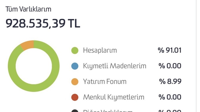 Tüm parayı faize atmak yerine şu yöntemi uyguladım mantıklımı?