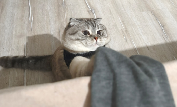Selam arkadaşlar kim beni ısıtmak ister 😱?