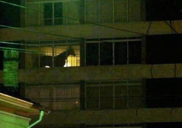 Çok kırılmış bir erkek nasıl gönül alınır, telafi etmeye fırsat vermiyorsa ne yapmalı?