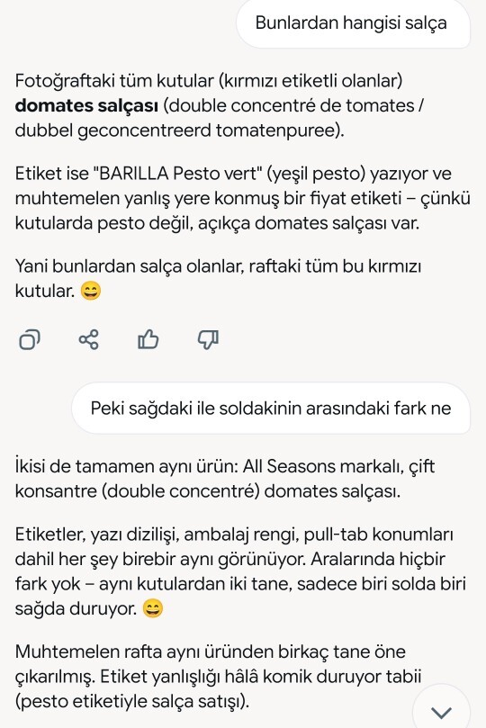 Hiç yapay zeka tarafından dalga geçilen oldu mu?