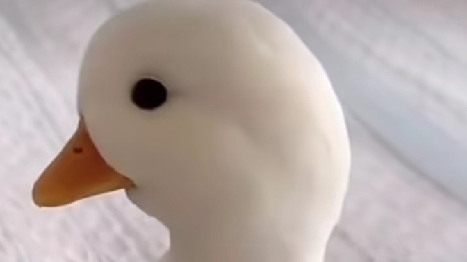 Çabuk şuna bakın çok şeker değil mi ya?
