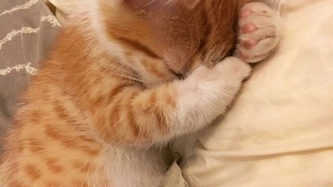 Sabah erkenden bir yere gitmek sizce zulüm değil de nedir?