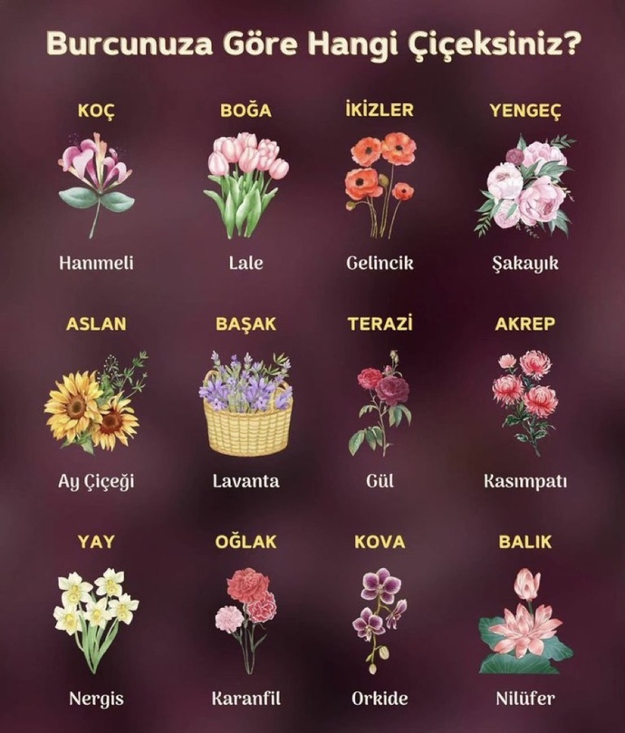Hangi çiçeksin burcuna göre?