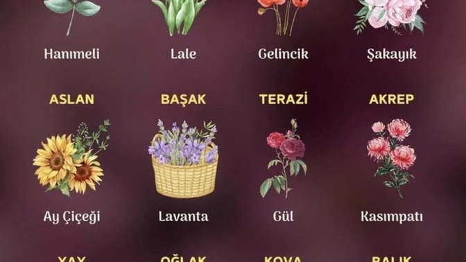 Hangi çiçeksin burcuna göre?