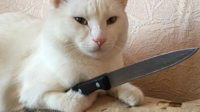 Karşı cinsin üzerinde ne var mesajı sizde ne etki yaratır?