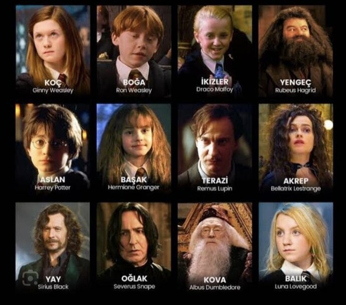 Burcuna göre hangi Harry Potter karakterisin?