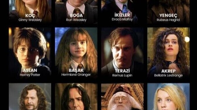 Burcuna göre hangi Harry Potter karakterisin?