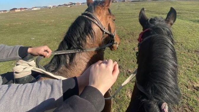 Sevgilinizle veya Eşiniz ile At binmeyi sever misiniz?
