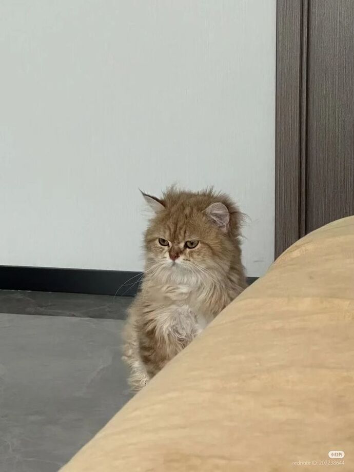 Sabah uyandığınızda neşeli mi kalkıyorsunuz yoksa sinirli mi?