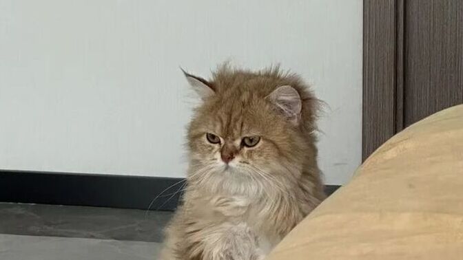 Sabah uyandığınızda neşeli mi kalkıyorsunuz yoksa sinirli mi?