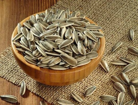 Çekirdek çıtlamayı sever misiniz🌻?