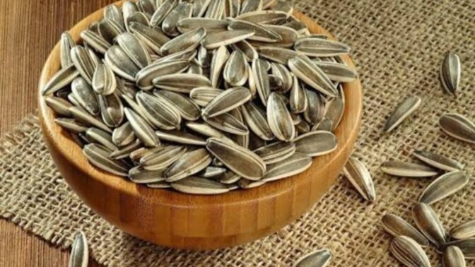 Çekirdek çıtlamayı sever misiniz🌻?