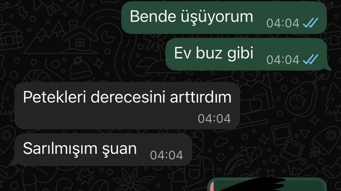 Eski sevgilim ilgimi istiyor gerçekten üşüyor mu sjsjdjdjd?