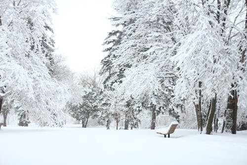 Günaydın herkese, nasıl bir sabaha uyandınız?
