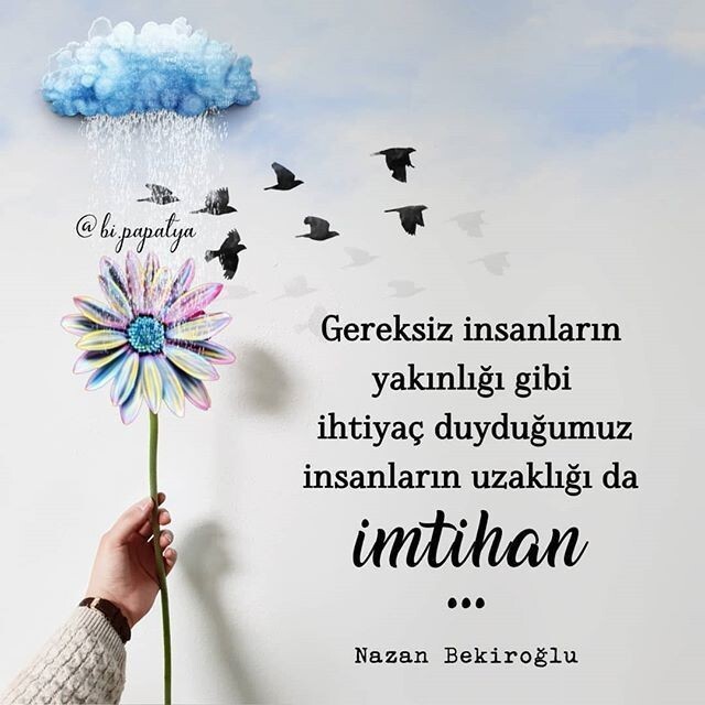 Her haltı yiyip , yapan başkasına gelince namus budalası kesilenler hakkında ne düşünüyorsunuz?