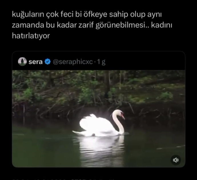 Bu ben, bu biz 💅