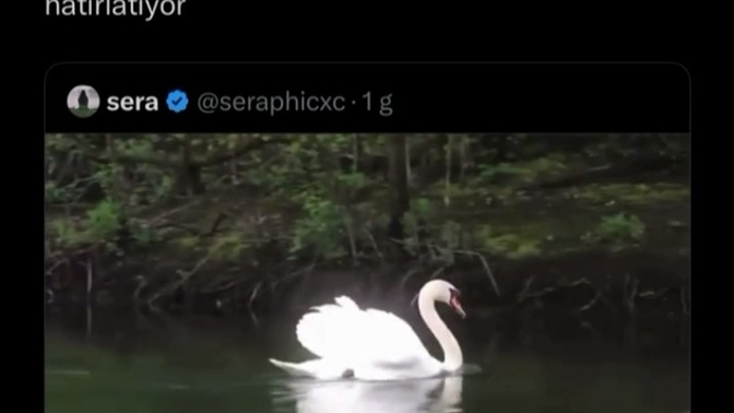 Zerafette öfkeye dahil mi🤍🫠 ?